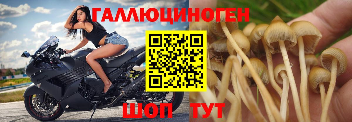 Старая Русса  Галлюциногенные грибы ЛСД  Вход с VPN 